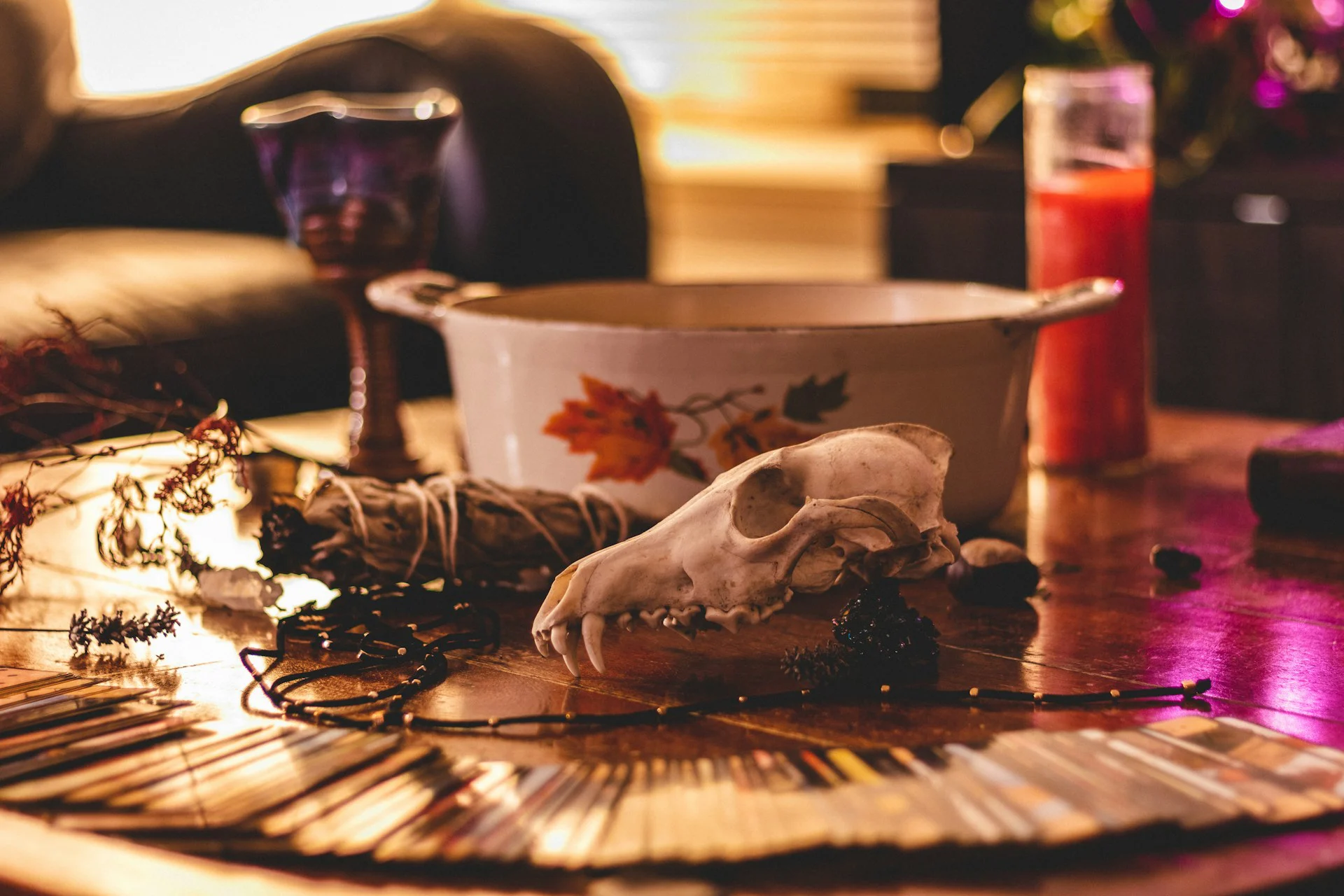 Cosa sono i rituali di santeria?