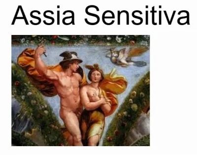 Assia la Sensitiva Recensioni